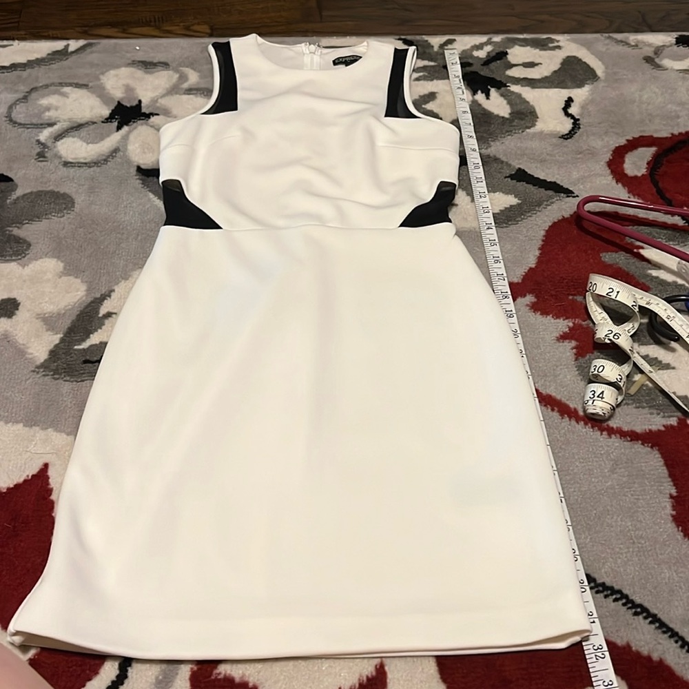 Express Mesh Dress